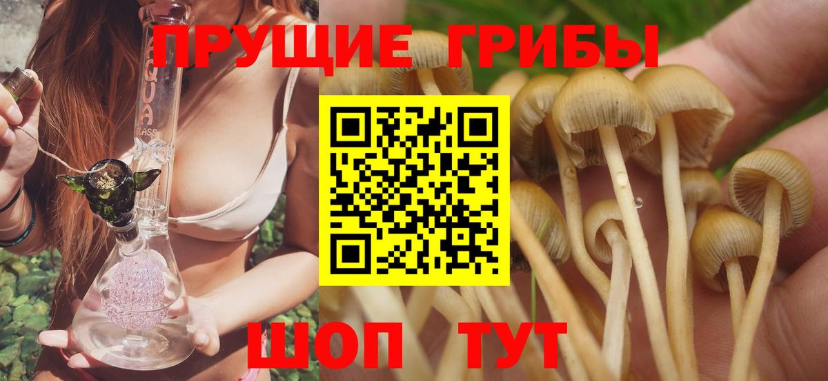 Гашиш Вольск