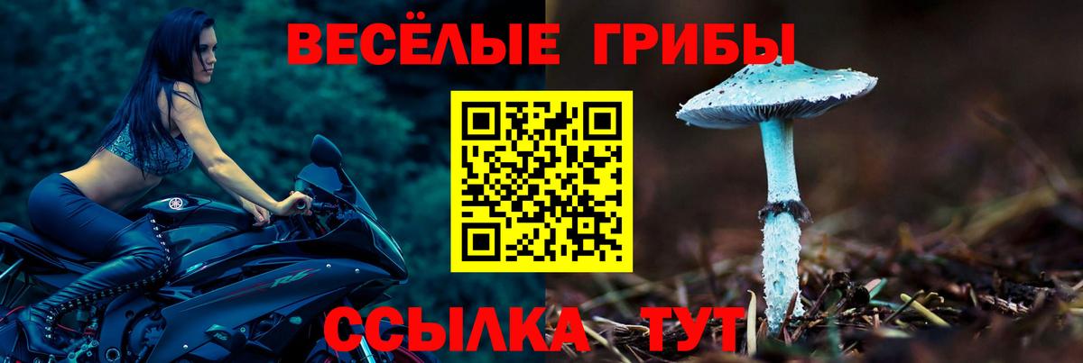 Псилоцибиновые грибы Psilocybine cubensis  купить   Вход с VPN  Вольск  Псилоцибиновые грибы мицелий 